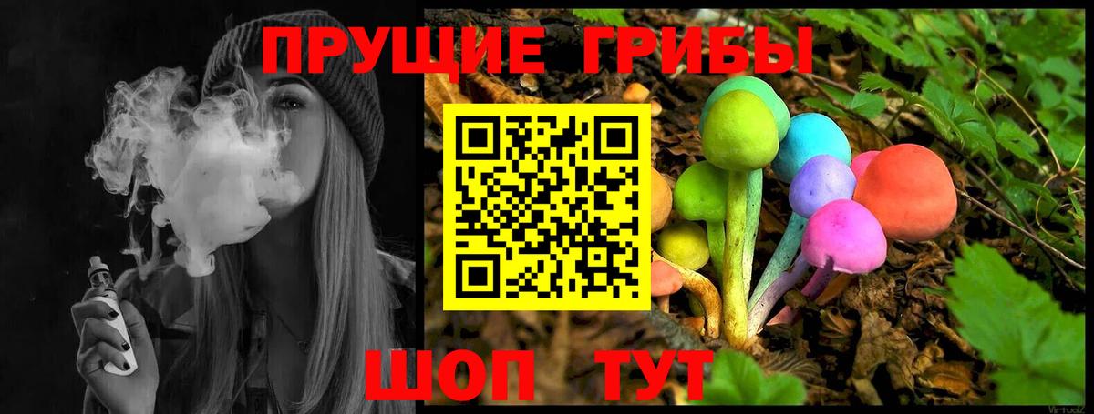 Касимов  Псилоцибиновые грибы ЛСД  Галлюциногенные грибы Psilocybine cubensis  Вход с VPN 